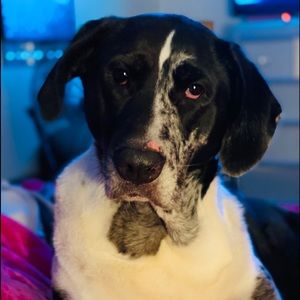 Meet your Posher, Denay